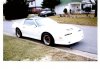 TRANS AM 001.JPG