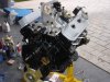 DSC07403.jpg