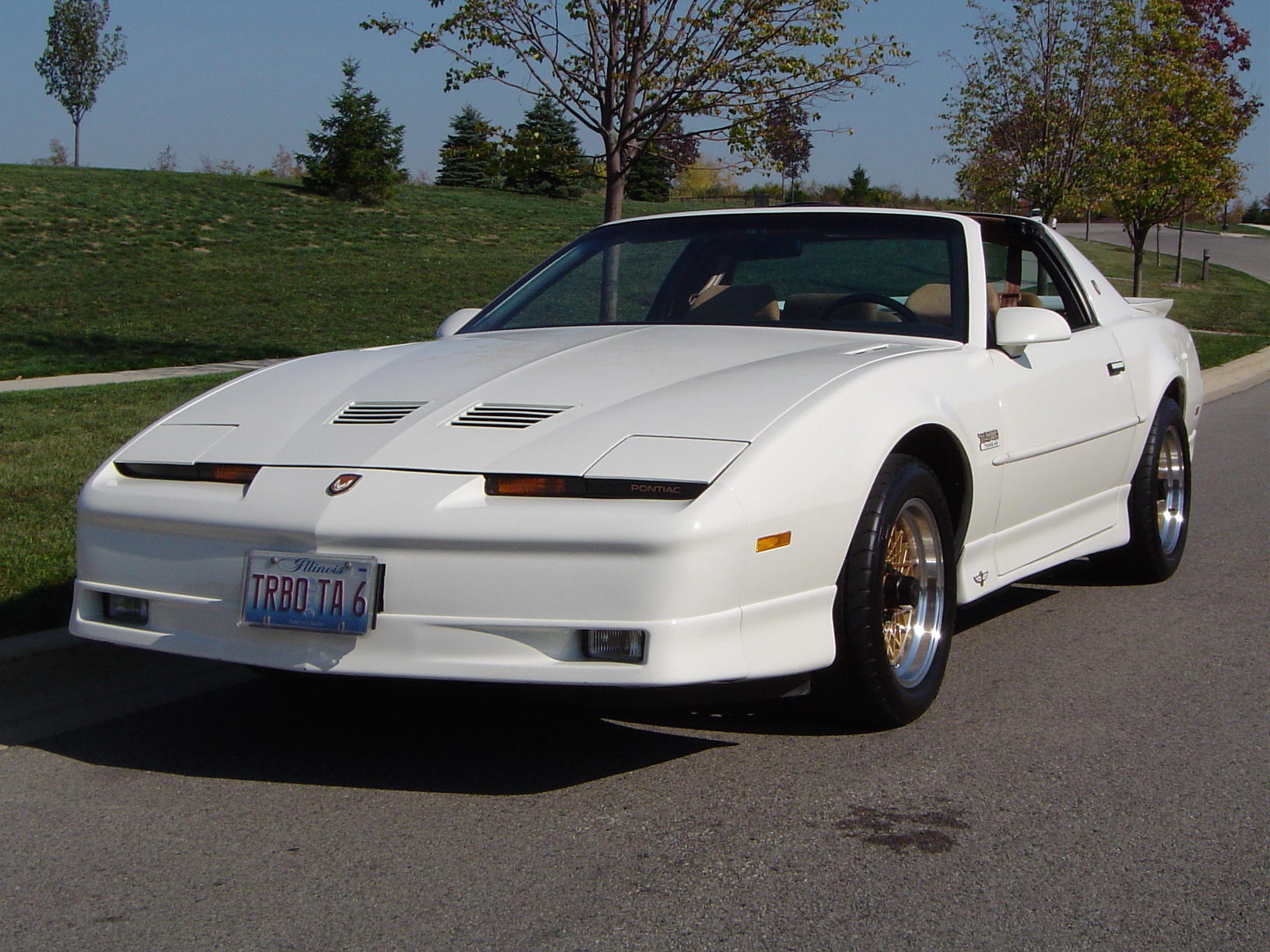 Viktor Zimmerman TTA