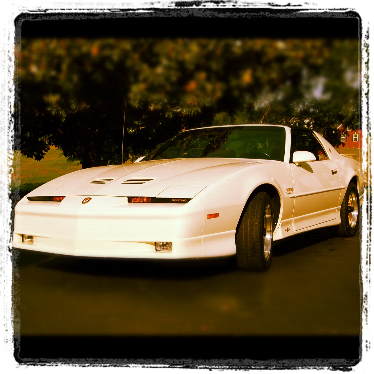 John and Zac Barker TTA